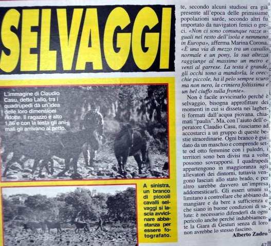SARDEGNA2007cavallinidellagiara5